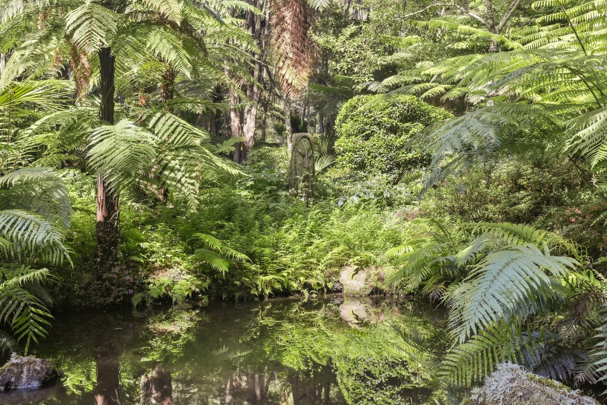 Rapaura Watergarden Thames NZ